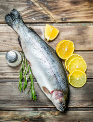 Raw sea fish salmon with lemon wedges, herbs and spices.