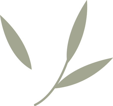 sage green leaves on white background clip art preview