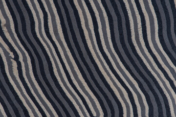 Texture of wood with stripes. Texture of natural African wood with zebra pattern. High resolution photo of a brown black board.