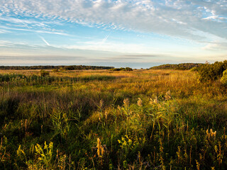 Marshland in Back Bay National Wildlife Refuge at Sunrise