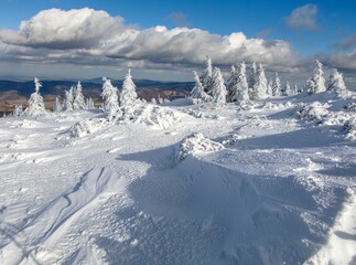 snowy forest on mountain, Jeseniky mountains