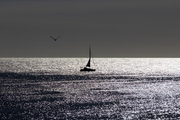 Velero  