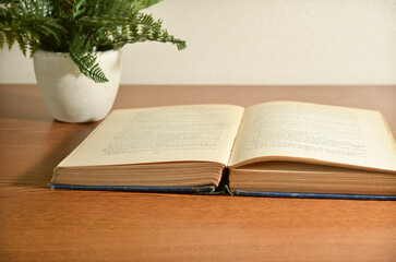 Old Book Open on Desk with Plant
