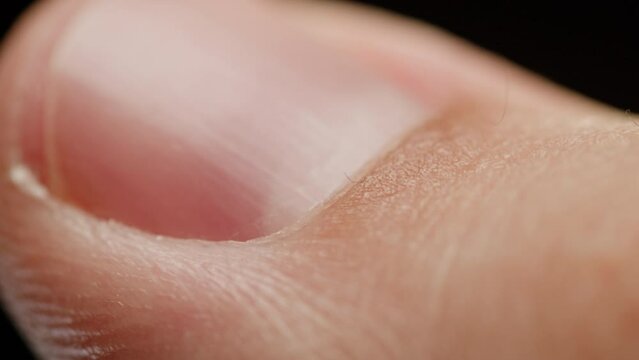 Human nail close-up, finger skin texture macro shooting, manicure concept