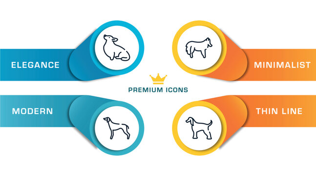 dog breeds fullbody outline icons with infographic template. thin line icons such as corgi, greyhound, shetland sheepdog, afghan hound vector.