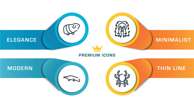 free animals outline icons with infographic template. thin line icons such as guinea pig heag, sitting anteater, long haired dog head, poisonous spider vector.