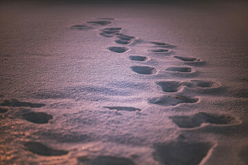 footprints in the now