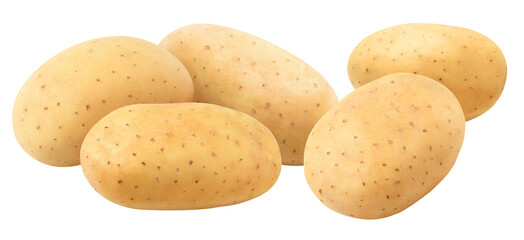 Five raw washed potatoes in a row cut out