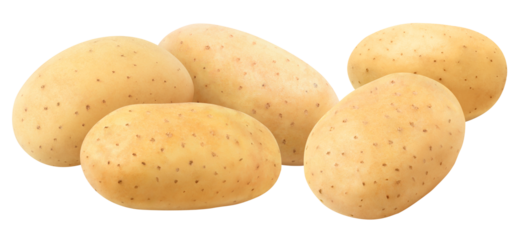 Five raw washed potatoes in a row cut out