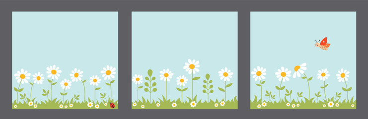 Set of nature landscape background with daisies, grass, ladybug and butterfly. Spring vector illustration.