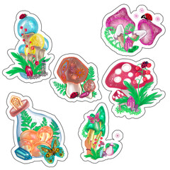 Hand drawn Mystical Magical Mushrooms in vibrant colors  