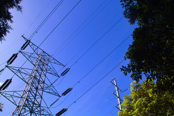 vanishing point power tower seen from below with trees around it