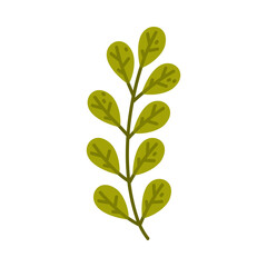 Floral Twig with Green Leaves as Cute Foliage Vector Illustration