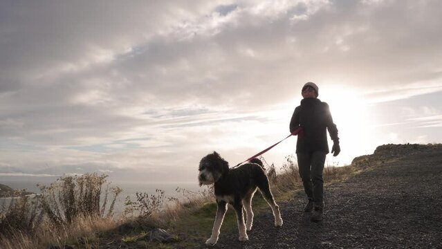 Older woman walking her dog by the ocean, sunny day, seaside, retirement life, pet ownership, good dog. 4K 24FPS