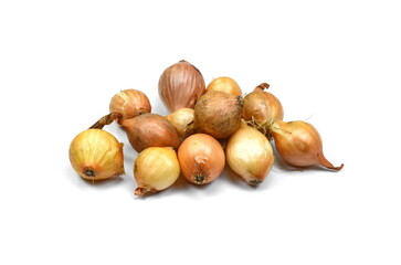 Seeding onion on white background. Spring onion bulbs. Small bulbs yellow onion sets ready to planting. Springtime, gardening concept.