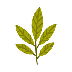 Floral Twig with Green Leaves as Cute Foliage Vector Illustration