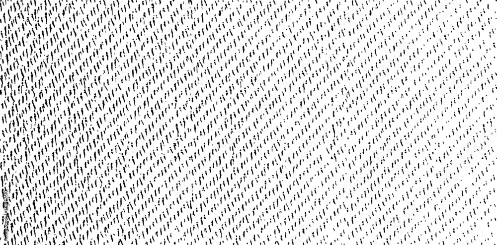 Poster Slim lines texture. Parallel and intersecting lines abstract pattern. Abstract textured effect. Black isolated on white background.Vector illustration. EPS10.