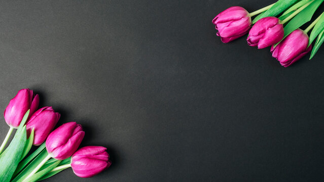 Spring festive background with tulip flowers on black table. Valentines day, womens day, mothers day holidays concept. Top view, flat lay, copy space
