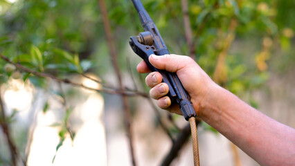 A man's hand with a pressure sprayer sprays apple trees in a spring orchard, protecting the orchard from bacterial fungal diseases, pest parasites, using chemical and biological products.