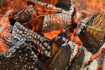Flames of big bonfire are burning out log embers that are burning on wood