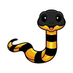 Fototapeta premium Cute banded krait bungarus candidus cartoon