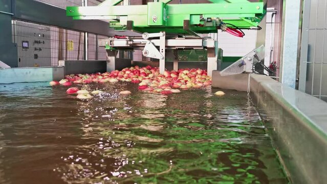 Industrial machine for emptying crates of apples in a pool full of water. Agriculture machine