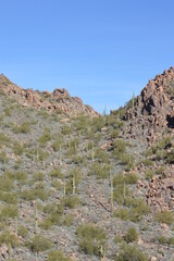 Fototapeta premium arizona