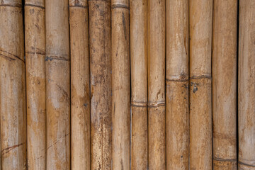 Dried bamboo stalks in vertical row background texture