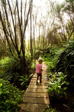 A young girl crosses a small, wooden bridge while hiking in New Zealand.
