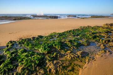 Magoito Beach, beautiful sandy beach on Sintra coast, during low tide, Lisbon district, Portugal,...
