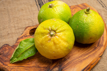 Fresh ripe bergamot orange fruits, fragrant citrus used in earl grey tea, medicine and spa treatments