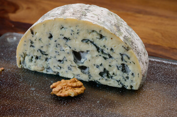 Cheese collection, piece of French blue cheese auvergne or fourme d'ambert