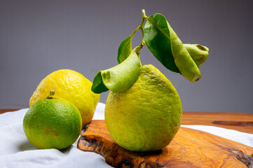 Variety of citrus fruits, bergamot and lemon citron cedrate or Citrus medica, large fragrant citrus...