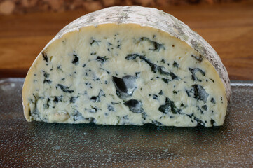 Cheese collection, piece of French blue cheese auvergne or fourme d'ambert
