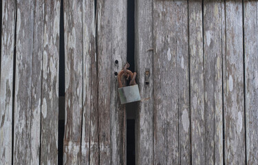 Old grey wood door panels with deep crevices and rusted padlock