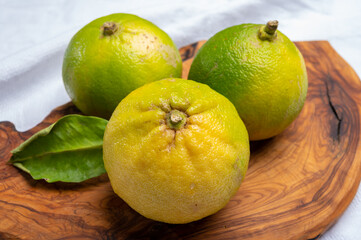 Fresh ripe bergamot orange fruits, fragrant citrus used in earl grey tea, medicine and spa treatments
