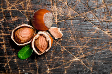Hazelnut with green leaves .