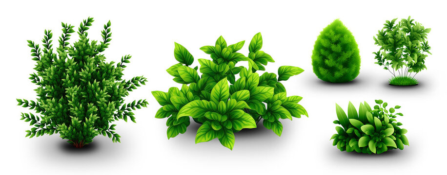 Set Of Green Bushes PNG Transparent Background 