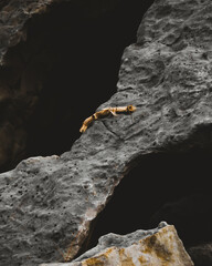 Rock Texture