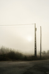 Foggy Scenario