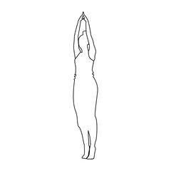 Contour drawing of a Woman doing yoga asana on toes with hands raised up. Healthy lifestyle. Isolate