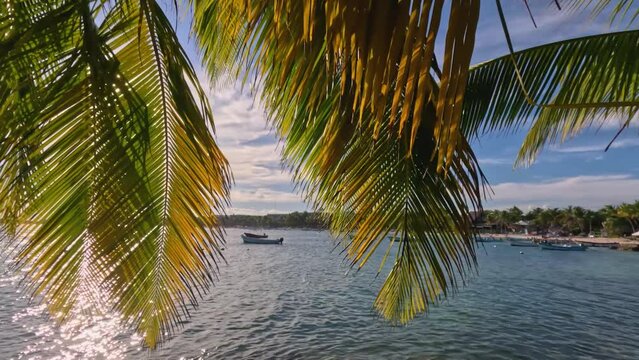 Panoramic view of Akumal bay with palm trees, boats and bay view