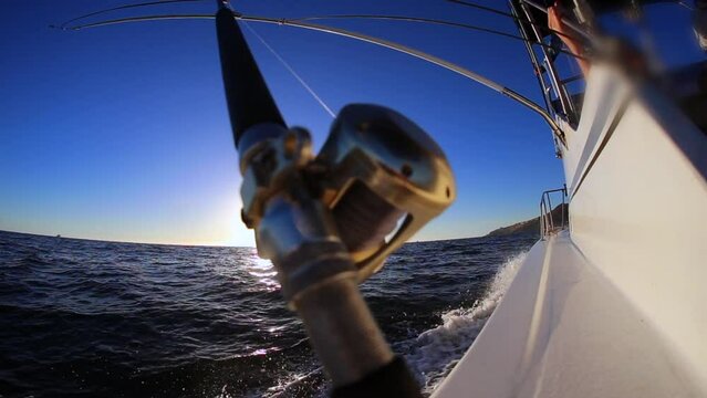 Fishing Deep Sea Ocean Reel Rod Boat Charter