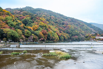 秋の京都桂川と紅葉の嵐山