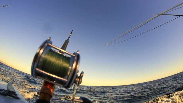 Fishing Reel Sunset Boat Ocean Charter Sea