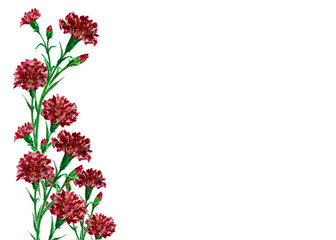 母の日のカーネーションの花飾りのフレーム