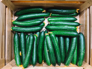 cucumbers on a wooden background