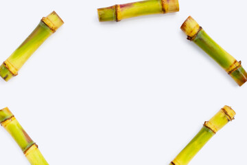 Sugar cane on white background. Copy space
