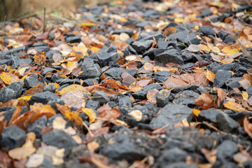 Closeup of rocks mixed with autumn leaves on ground