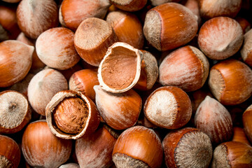 The texture of the hazelnut in shell.